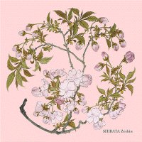 トレシー®　和のアートシリーズ　A1919P－ZESHIN 　柴田是真　19×19ｃｍ  桜（さくら）